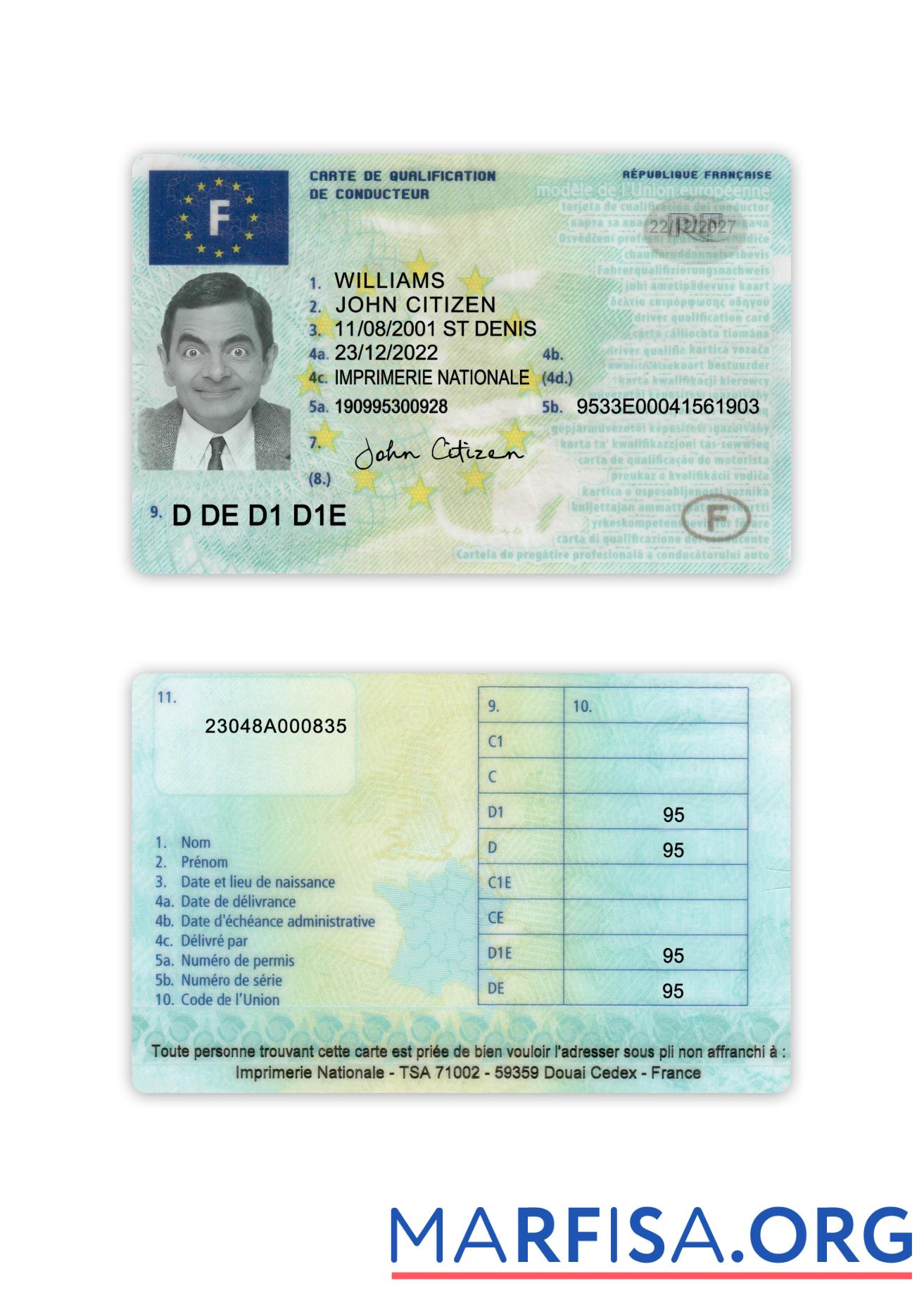 Realistic France driving license 2022 present template
